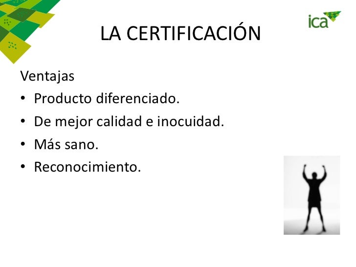 conpes 3376
